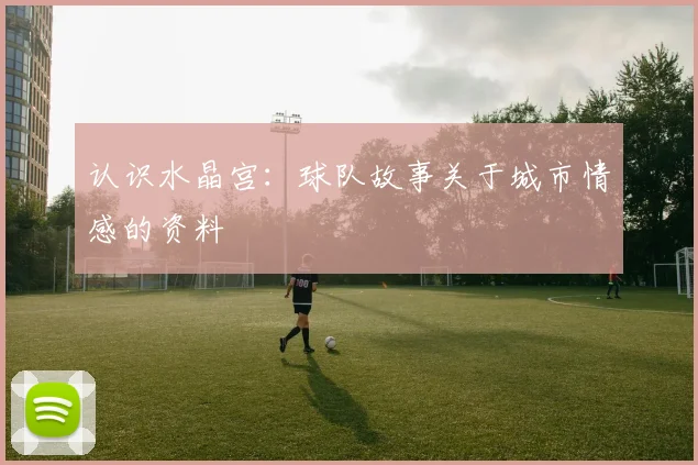 认识水晶宫：球队故事关于城市情感的资料