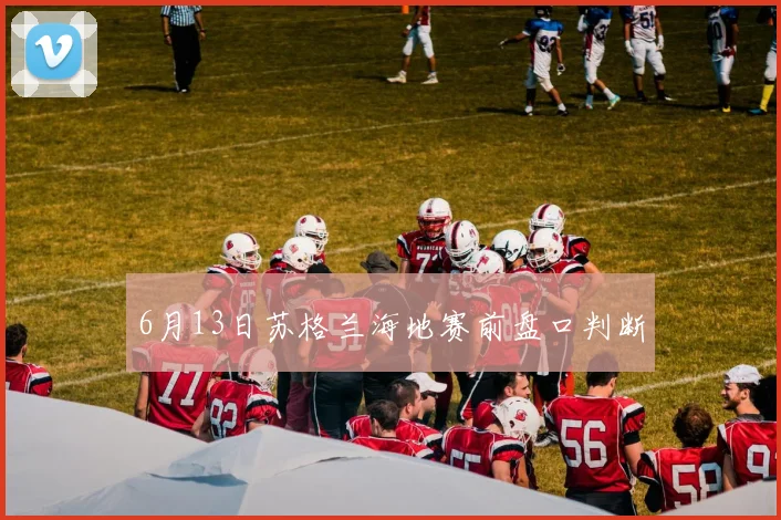 6月13日苏格兰海地赛前盘口判断