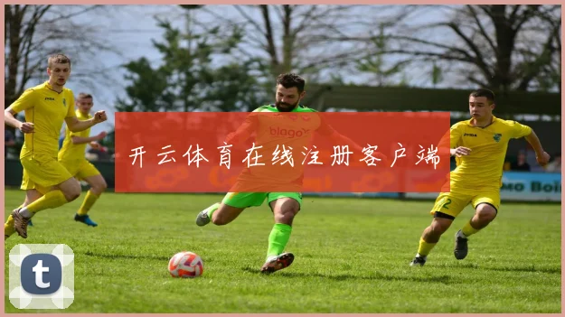 开云体育在线注册客户端