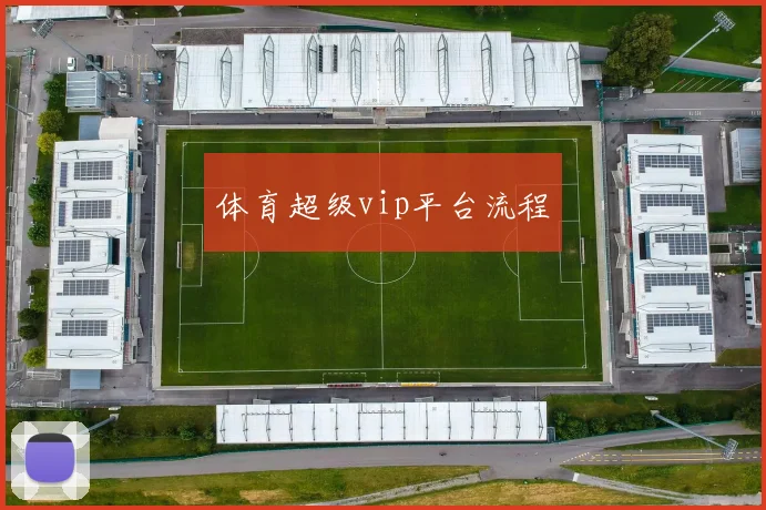 体育超级vip平台流程