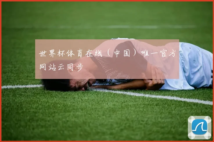 世界杯体育在线（中国）唯一官方网站云同步