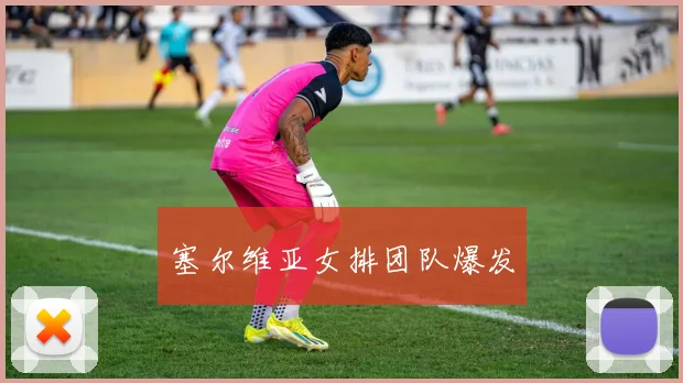 塞尔维亚女排团队爆发