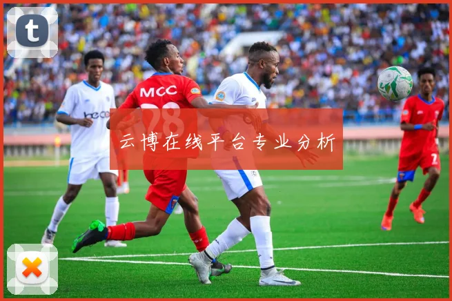云博在线平台专业分析