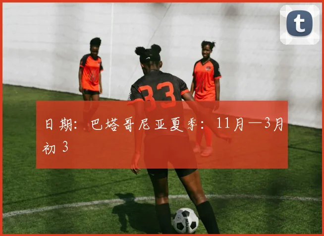 日期：巴塔哥尼亚夏季：11月—3月初 3