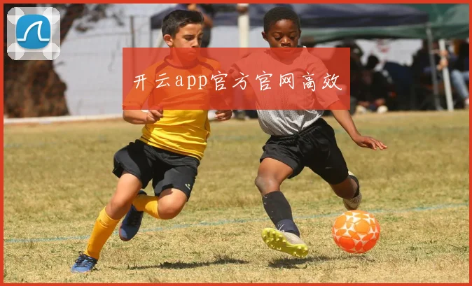 开云app官方官网高效