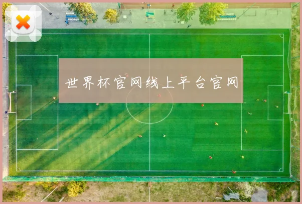 世界杯官网线上平台官网