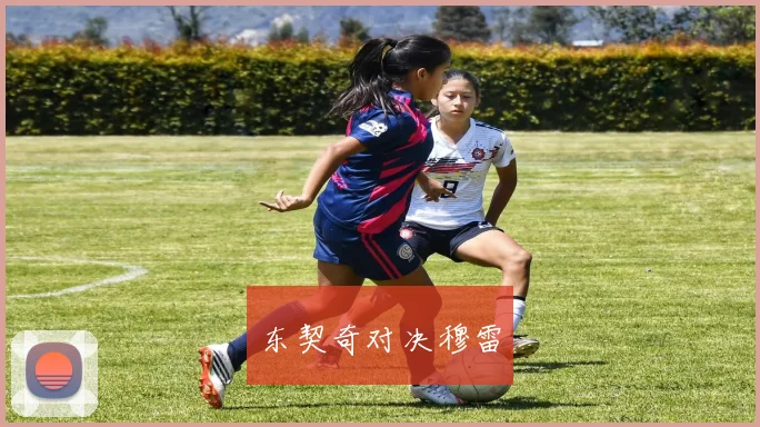 东契奇对决穆雷
