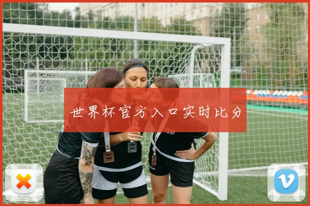 世界杯官方入口实时比分