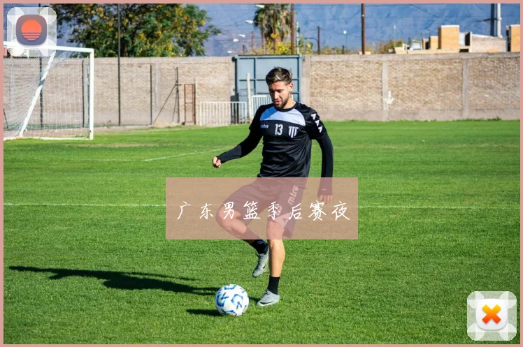 广东男篮季后赛夜