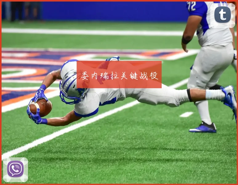 委内瑞拉关键战役
