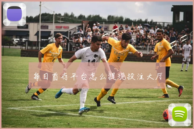 每日首存平台怎么提现投注大厅