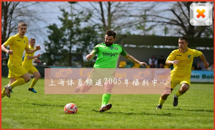 上海体育频道2005年福利中心
