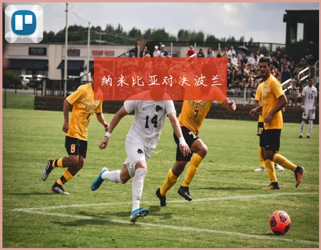 纳米比亚对决波兰