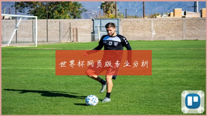 世界杯网页版专业分析