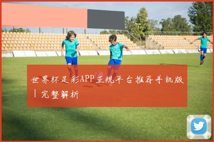 世界杯足彩APP正规平台推荐手机版｜完整解析