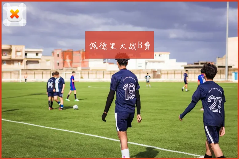 佩德里大战B费