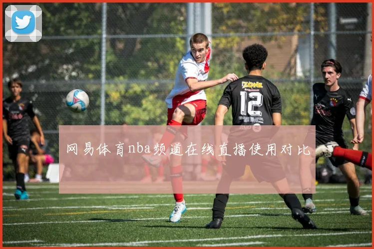 网易体育nba频道在线直播使用对比