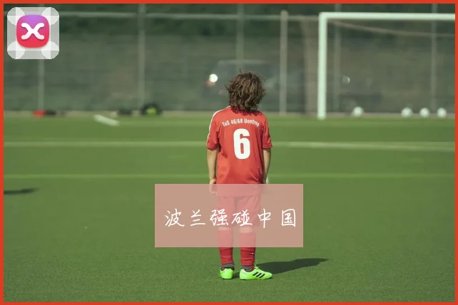 波兰强碰中国