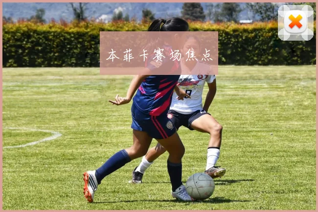 本菲卡赛场焦点