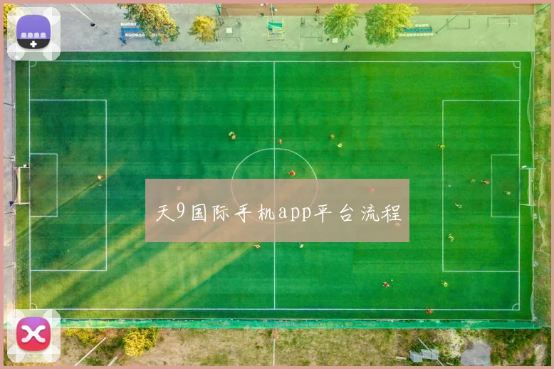天9国际手机app平台流程