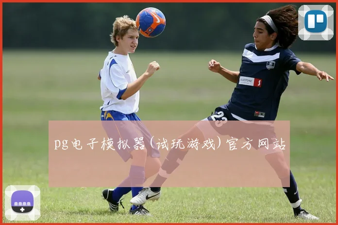 pg电子模拟器(试玩游戏)官方网站
