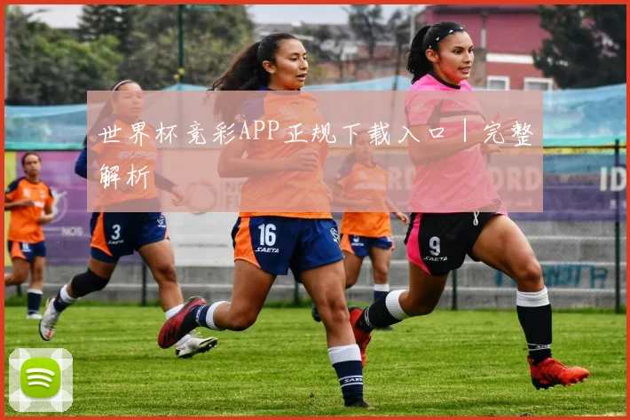 世界杯竞彩APP正规下载入口｜完整解析