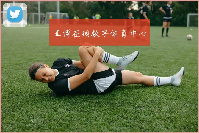 亚搏在线数字体育中心