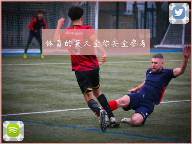 体育的英文全称安全参考