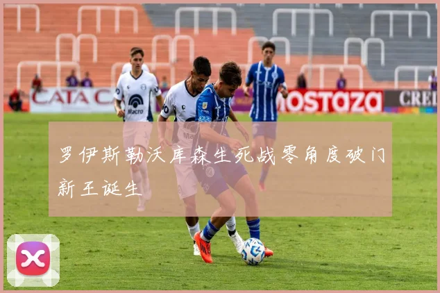 罗伊斯勒沃库森生死战零角度破门新王诞生