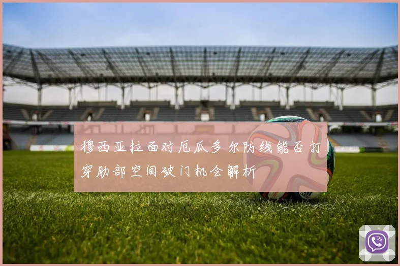 穆西亚拉面对厄瓜多尔防线能否打穿肋部空间破门机会解析